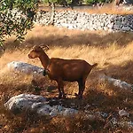 Casa de Campo Retiro Da Avo Lídia -
