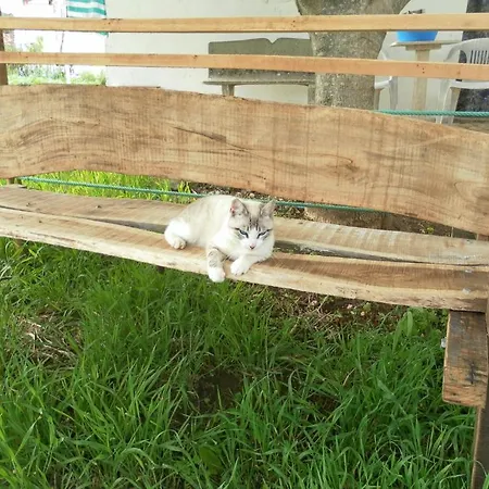 Летний дом Retiro Da Avo Lidia - *