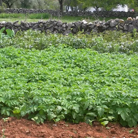 Retiro Da Avo Lidia -