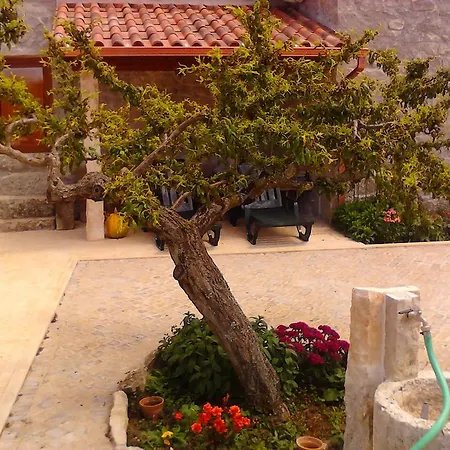 Retiro Da Avo Lidia - * Mendiga