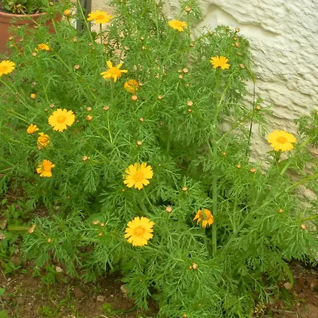 Retiro Da Avo Lidia -