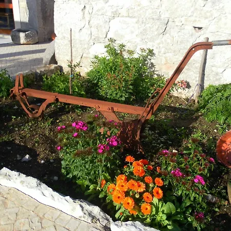 Retiro Da Avo Lidia - Mendiga