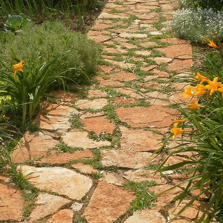 Retiro Da Avo Lidia - Mendiga