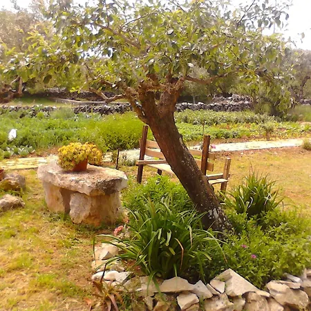 Retiro Da Avo Lidia -