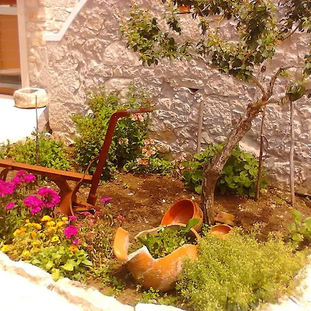 Retiro Da Avo Lidia -