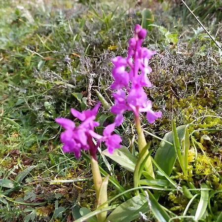 Retiro Da Avo Lidia -