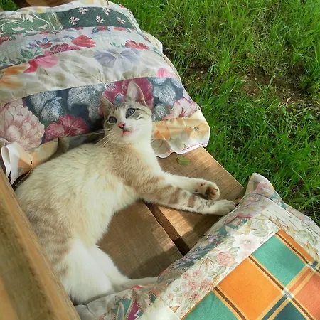 Retiro Da Avo Lidia - Εξοχικό σπίτι *