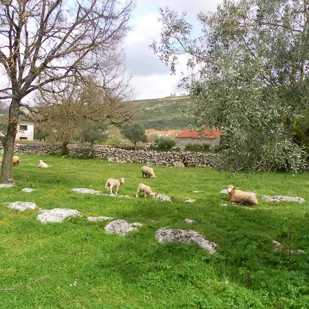 Retiro Da Avo Lidia - Mendiga